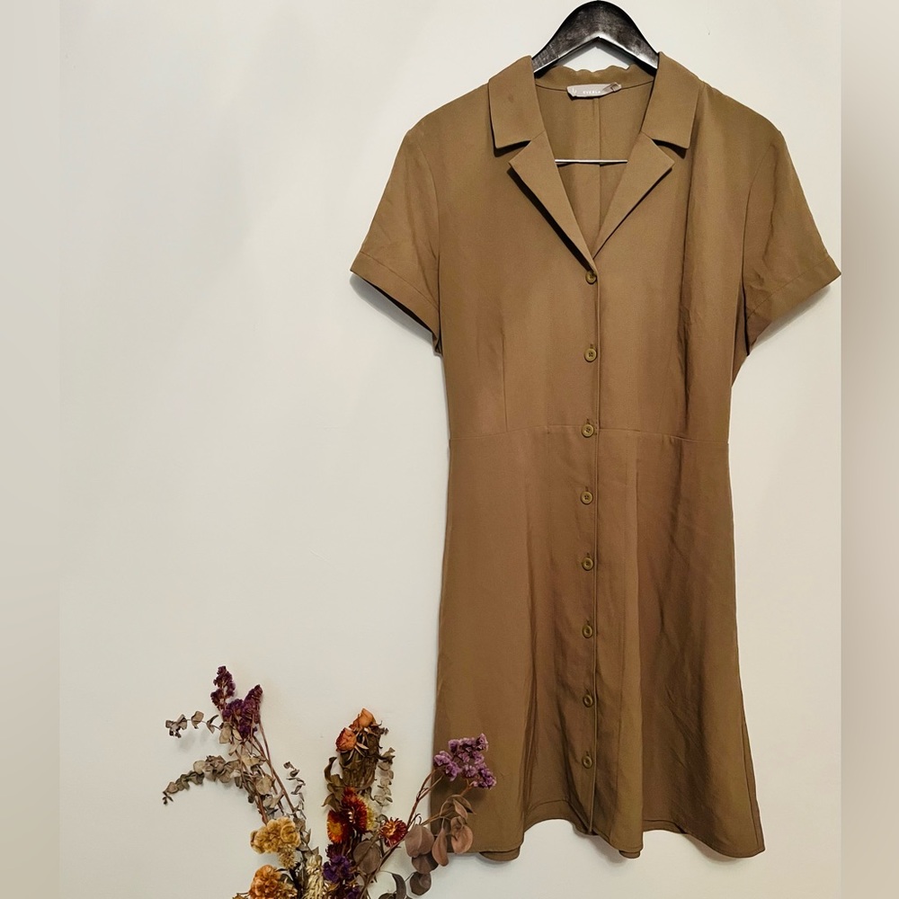 Everlane Button Down Utility Dress in Olive